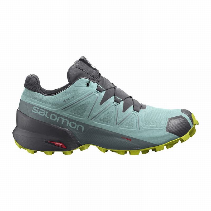 Salomon Israel SPEEDCROSS 5 GORE-TEX - Womens Trail Running Shoes - Turquoise/Dark Grey (ECLD-13974)